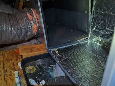 Air Handling Unit Inspection